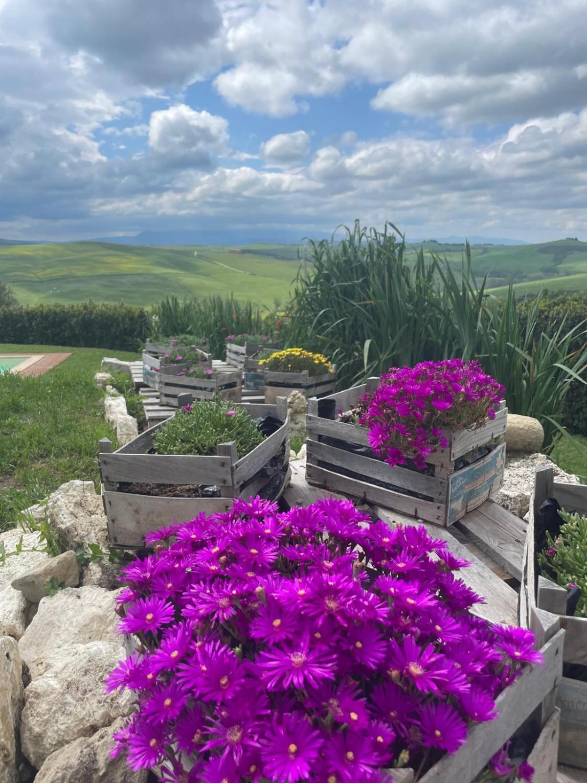 Вілла Agriturismo Bombina Montisi Екстер'єр фото